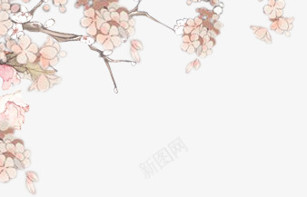 樱花png免抠素材_新图网 https://ixintu.com 梅花 梨花 樱花