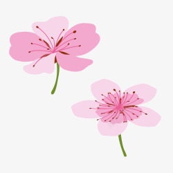 粉红色樱花枝条春季樱花桃花矢量图素材
