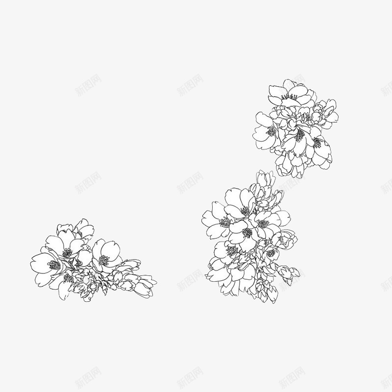 手绘线稿花卉图标psd_新图网 https://ixintu.com PNG 手绘 线稿 花朵 装饰图案