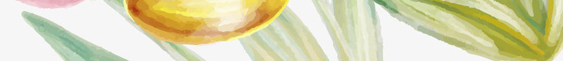 水彩绘郁金香矢量图ai免抠素材_新图网 https://ixintu.com 彩色 植物 水彩画 矢量图 花卉 郁金香 郁金香粉 鲜花