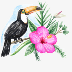 手绘的大嘴鸟水彩绘大嘴鸟和花卉矢量图高清图片