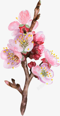 水彩桃花手绘简图素材