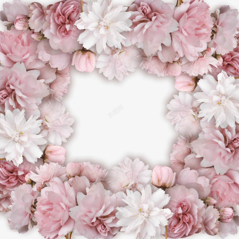 粉色樱花装饰png免抠素材_新图网 https://ixintu.com 唯美 樱花图案 正方形 粉色