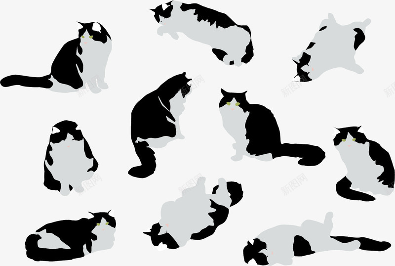 黑白猫咪png免抠素材_新图网 https://ixintu.com 手绘 猫咪 简洁 黑白
