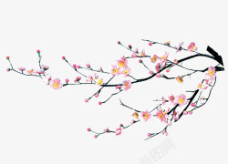 中国画桃花手绘桃花花瓣树枝高清图片
