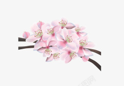 粉色日本元素樱花一串素材