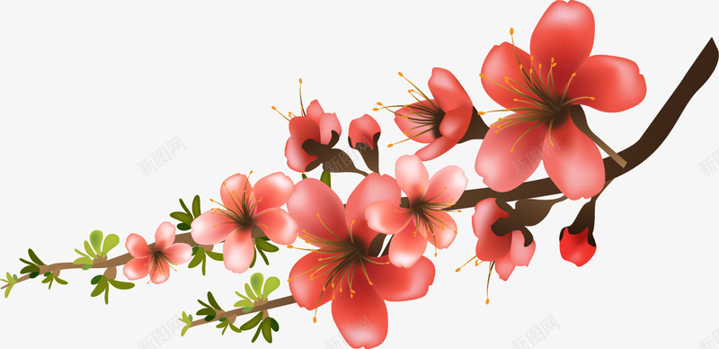 手绘花朵和树枝png免抠素材_新图网 https://ixintu.com 手绘 树枝 梅花 植物 樱花 花朵