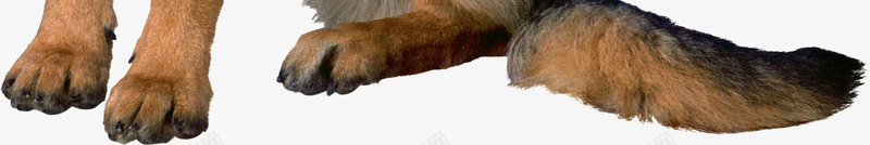 卡通坐着的牧羊犬png免抠素材_新图网 https://ixintu.com 免抠图 动物 小狗 抠图 插画 牧羊犬 装饰画