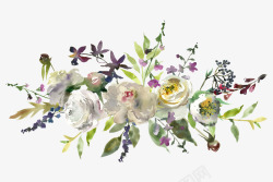 手绘植物花朵装饰边框素材