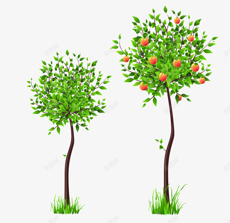 两颗小树png免抠素材_新图网 https://ixintu.com Q版苹果树 合集 小树 果树 树木 树枝 绿树 苹果树
