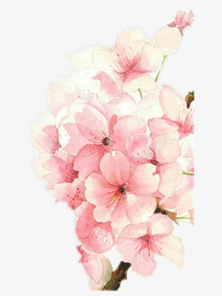 淡粉色的樱花素材