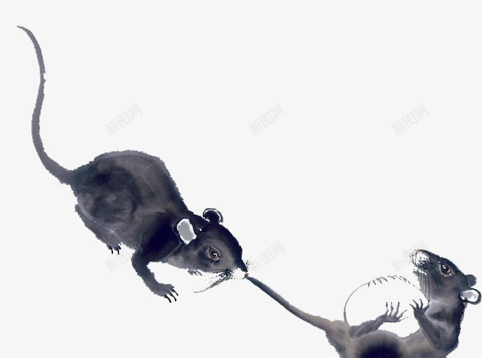 两只老鼠水墨绘画png免抠素材_新图网 https://ixintu.com 中国风 动物 水墨画 老鼠 黑白绘画