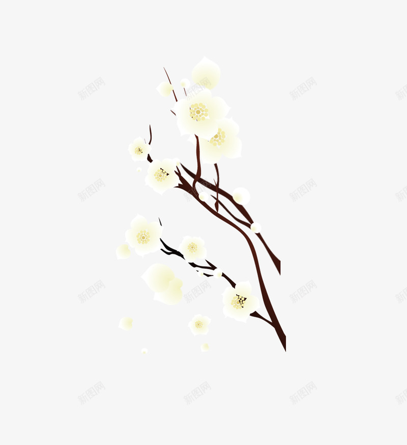 梅花png免抠素材_新图网 https://ixintu.com 树枝 白色 花卉