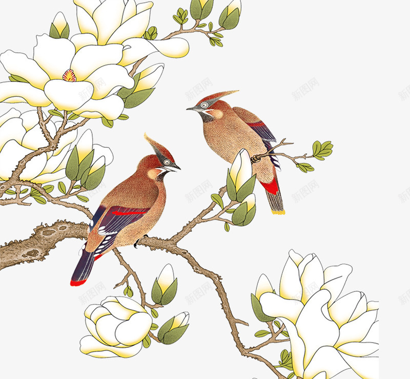 卡通树枝上站立的鸟png免抠素材_新图网 https://ixintu.com 卡通 喜鹊 树枝上 白色花朵 站立的鸟 绿色的叶子 花苞