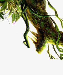 树林绿色树枝苔藓倒挂的树根高清图片