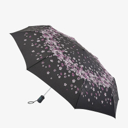 散花朵黑底樱花雨伞高清图片