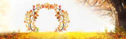 秋天广告背景秋天黄色花环高清图片
