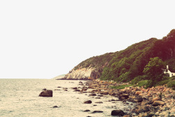 海边的树海边美丽岩石摄影高清图片
