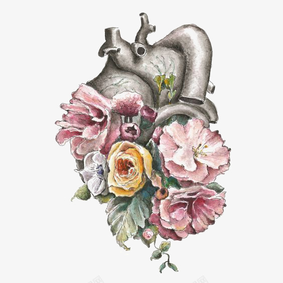 心脏png免抠素材_新图网 https://ixintu.com 人体动力 人体器官 卡通 手绘 艺术心脏 鲜花