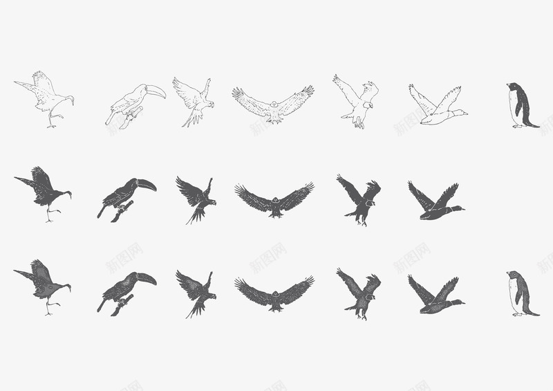 3种效果线稿黑白鸟类动物矢量图ai免抠素材_新图网 https://ixintu.com 平面鸟类素材 线稿的鸟类 鸟类的动物 黑白的鸟类 矢量图