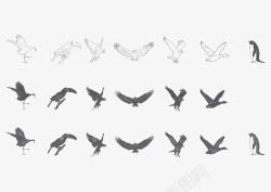 3种3种效果线稿黑白鸟类动物矢量图高清图片