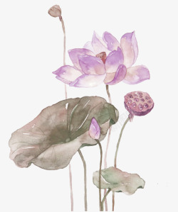 紫色中国风荷花装饰图案素材