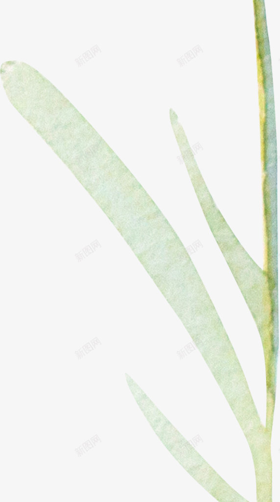 水彩唯美图标png_新图网 https://ixintu.com LOGO图片装饰素材 PNG免抠水彩唯美 花卉花环 花束