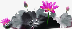 黑墨中秋节手绘黑墨荷叶花朵高清图片