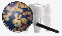 矢量牙齿细菌蛀牙细菌高清图片