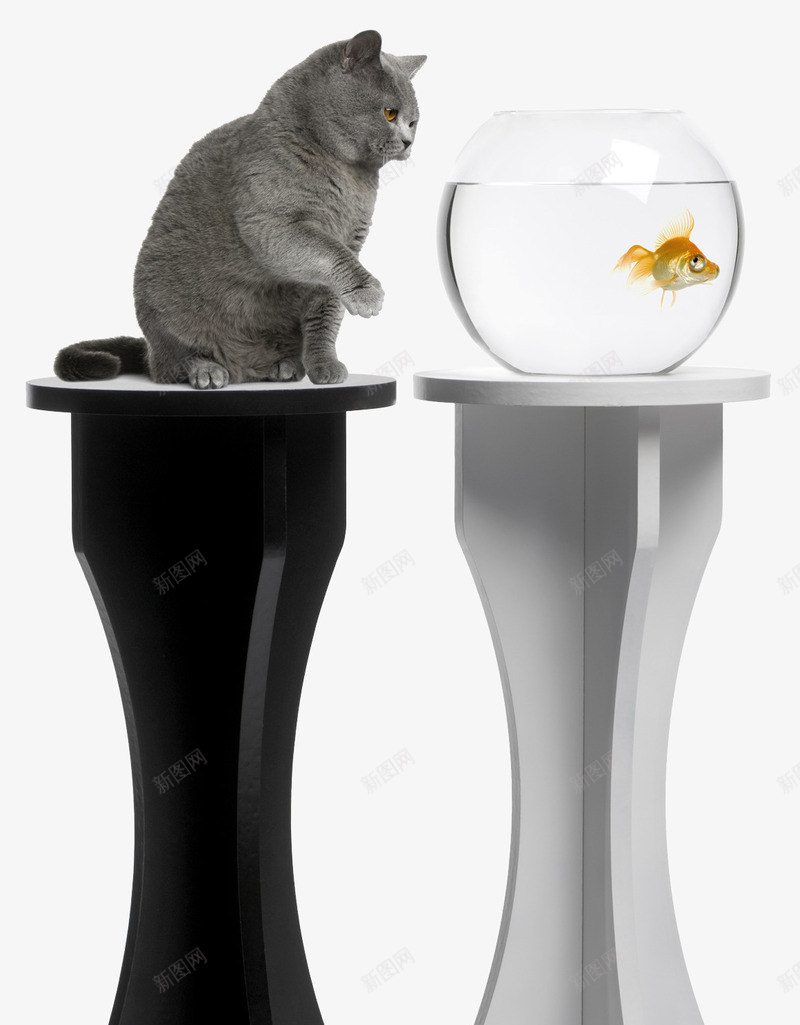 猫和鱼黑白桌png免抠素材_新图网 https://ixintu.com 动物 可爱 宠物 架子 桌 桌架 猫 猫和鱼 金鱼 高脚 高脚桌 鱼缸 黑白桌