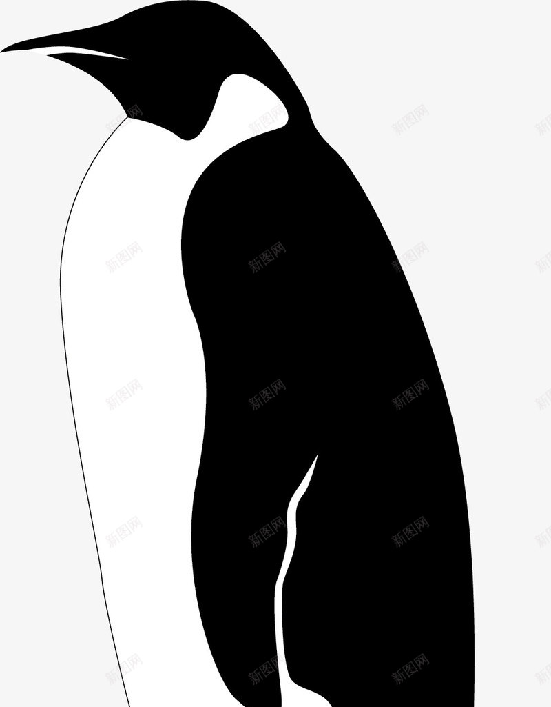 侧面黑白风格手绘风格企鹅矢量图图标eps_新图网 https://ixintu.com 侧面 动物企鹅 卡通企鹅 卡通风格 手绘风格 矢量企鹅 黑白风格 矢量图