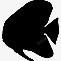 蝙蝠鱼鱼鱼的形状图标高清图片