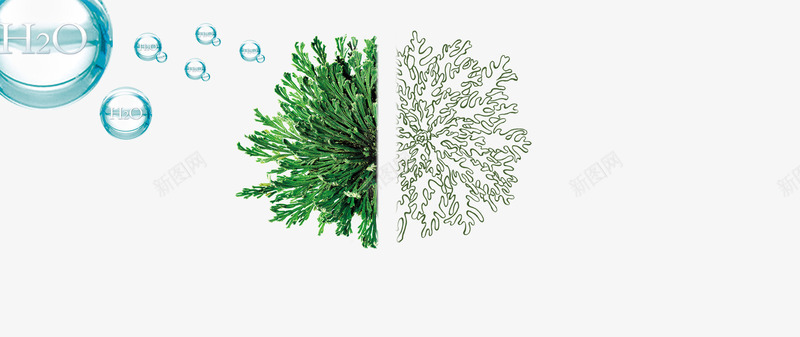 清新绿色植物png免抠素材_新图网 https://ixintu.com 化妆品 护肤品 树叶 植物 水珠 清新 美白 面膜