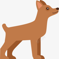 棕色的狗狗棕色狗狗高清图片