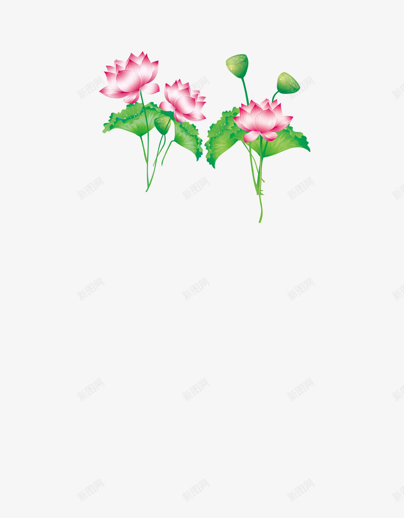 荷塘月色png免抠素材_新图网 https://ixintu.com 清新 红色 绿色 荷塘 荷花