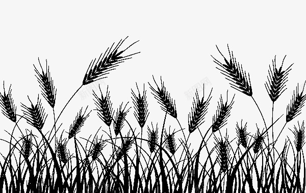 小麦黑白剪影png免抠素材_新图网 https://ixintu.com 小麦 水稻 麦子 黑白剪影