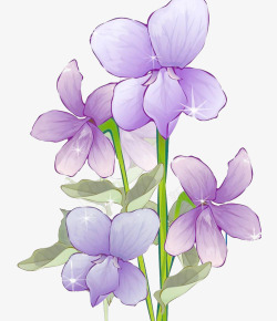 小紫花卡通紫花地丁高清图片