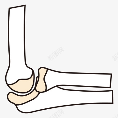 骨头关节形状图标图标
