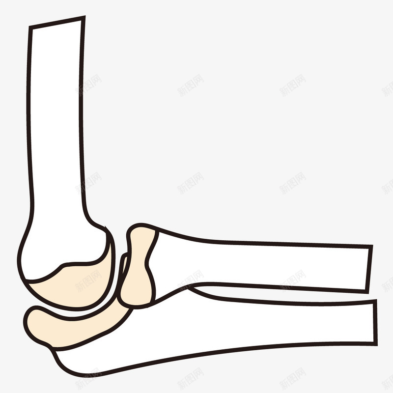 骨头关节形状图标png_新图网 https://ixintu.com 卡通 图标 彩绘 手绘 插画 骨头 骨头关节形状