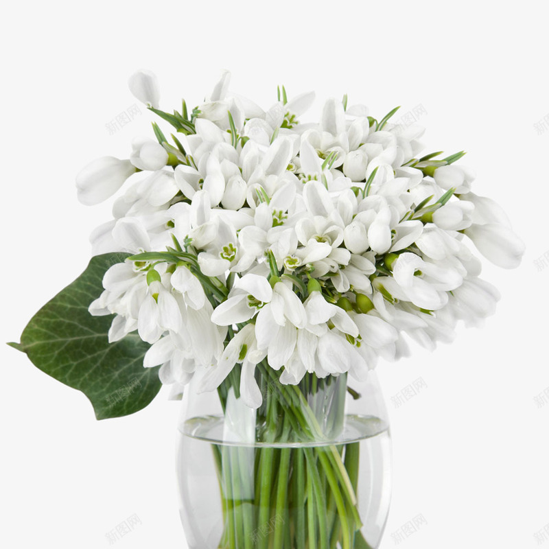 白色花桌花png免抠素材_新图网 https://ixintu.com 桌花 植物 白色花 花卉 花束 装饰 鲜花