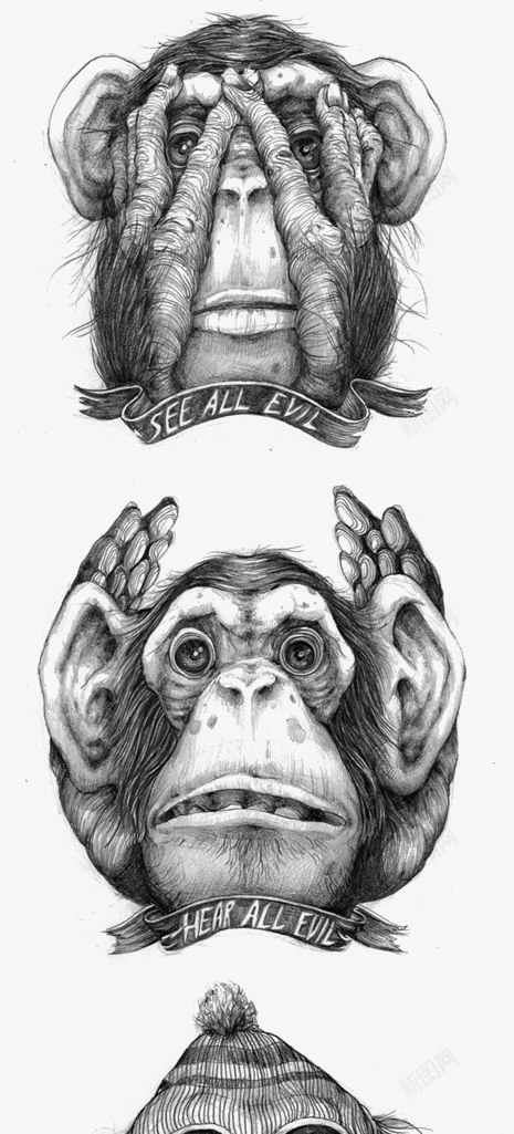 猴子png免抠素材_新图网 https://ixintu.com 动物 大猩猩 猴子头像 素描猴子