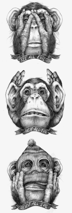 大猩猩头像猴子高清图片