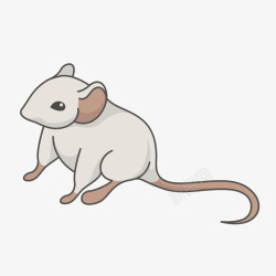 白色简笔绘画老鼠矢量图素材