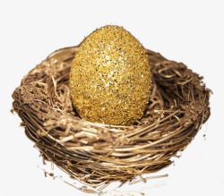 创意鸟巢中的钱币创意鸟巢中的金蛋高清图片