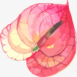 热带花朵边框手绘水彩红色花朵高清图片