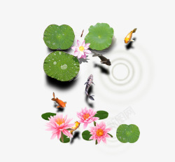 池塘装饰中国风池塘中的荷花高清图片