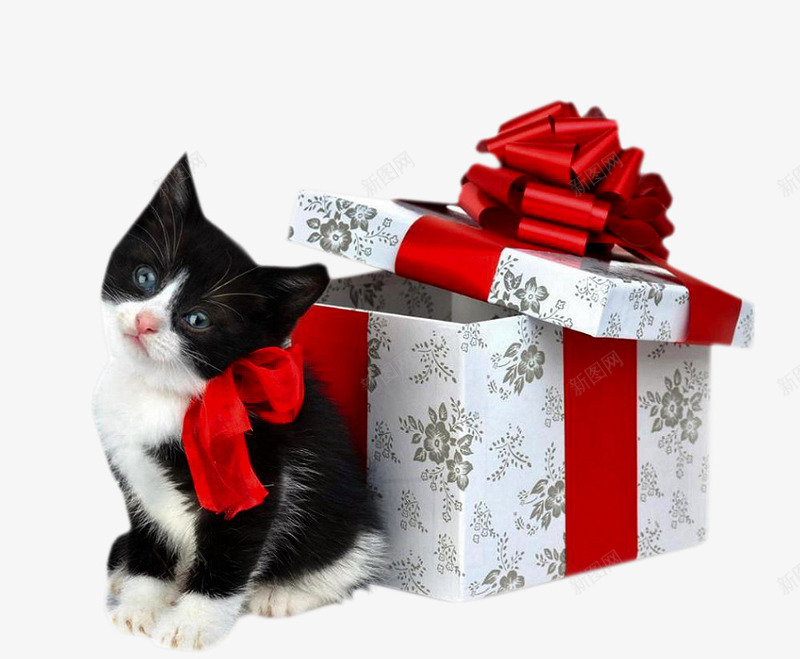 黑色猫咪礼物盒子png免抠素材_新图网 https://ixintu.com png素材 礼物盒子 黑色猫咪
