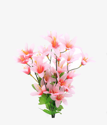 花瓶里簇拥的桃花枝png免抠素材_新图网 https://ixintu.com 桃花 簇拥 花瓶 鲜花