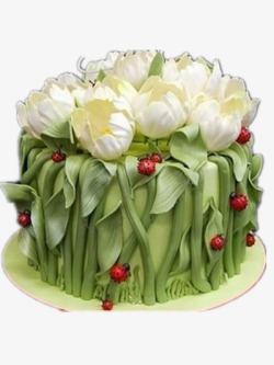 绿色鲜花蛋糕素材