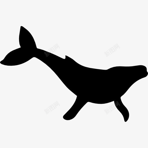座头鲸的形状图标png_新图网 https://ixintu.com 动物 动物王国 形状 轮廓 驼背 鲸鱼 鲸鱼插图 黑白鲸鱼